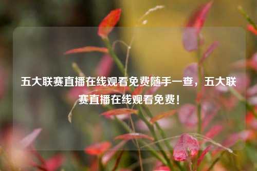 五大联赛直播在线观看免费随手一查，五大联赛直播在线观看免费！