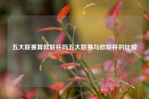 五大联赛算欧联杯吗五大联赛与欧联杯的比较