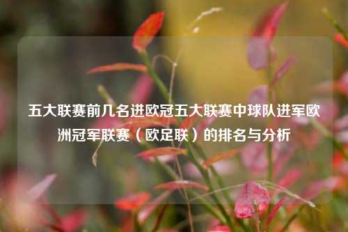 五大联赛前几名进欧冠五大联赛中球队进军欧洲冠军联赛（欧足联）的排名与分析