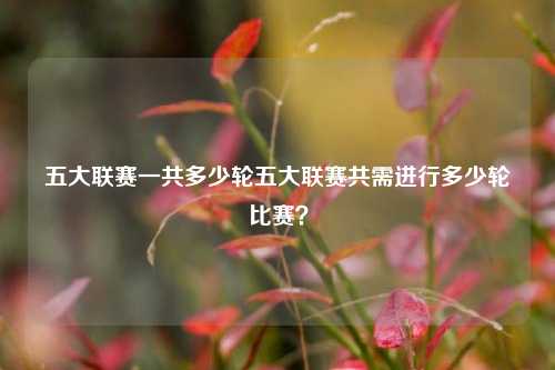 五大联赛一共多少轮五大联赛共需进行多少轮比赛？