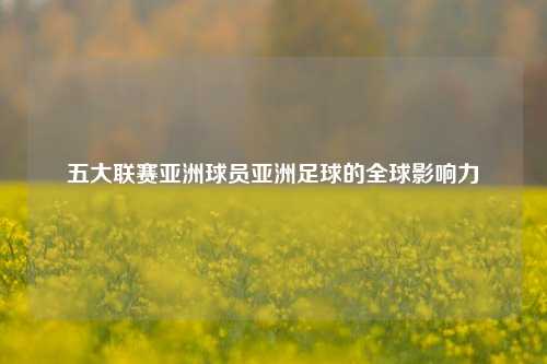 五大联赛亚洲球员亚洲足球的全球影响力