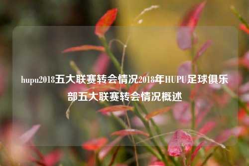 hupu2018五大联赛转会情况2018年HUPU足球俱乐部五大联赛转会情况概述