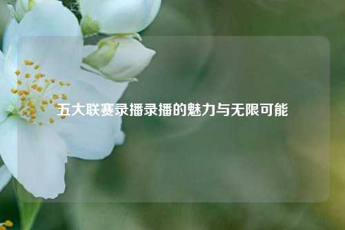 五大联赛录播录播的魅力与无限可能