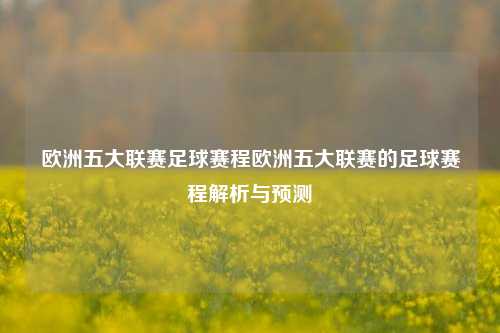 欧洲五大联赛足球赛程欧洲五大联赛的足球赛程解析与预测