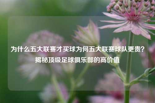 为什么五大联赛才买球为何五大联赛球队更贵？揭秘顶级足球俱乐部的高价值