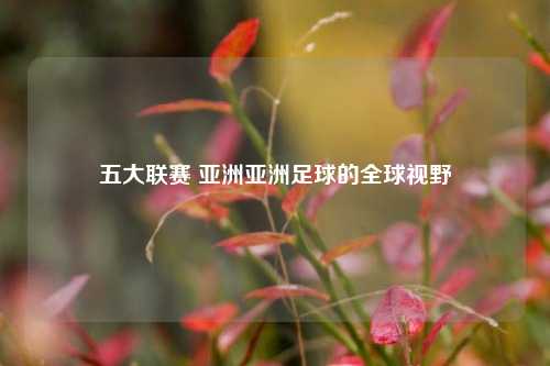 五大联赛 亚洲亚洲足球的全球视野