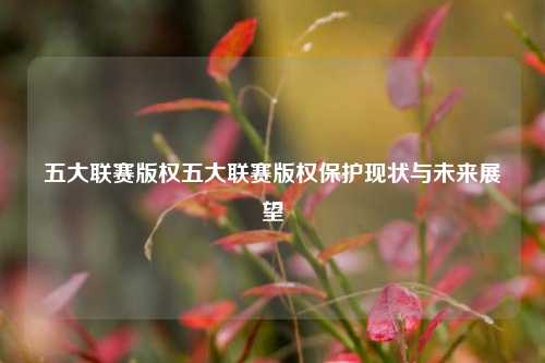 五大联赛版权五大联赛版权保护现状与未来展望