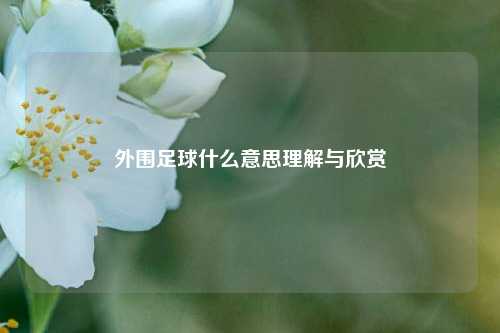 外围足球什么意思理解与欣赏