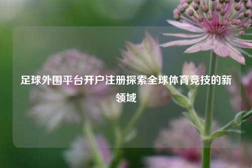 足球外围平台开户注册探索全球体育竞技的新领域