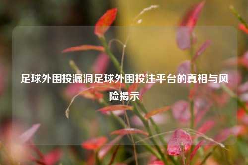 足球外围投漏洞足球外围投注平台的真相与风险揭示