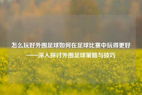 怎么玩好外围足球如何在足球比赛中玩得更好——深入探讨外围足球策略与技巧