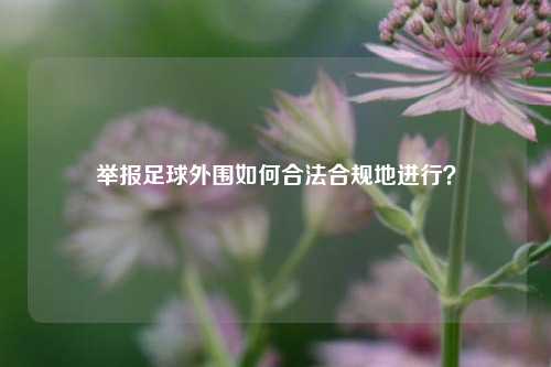 举报足球外围如何合法合规地进行？