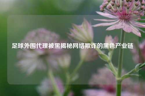 足球外围代理被黑揭秘网络欺诈的黑色产业链