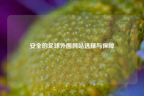 安全的足球外围网站选择与保障