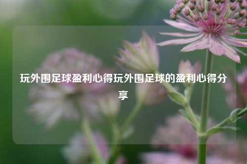 玩外围足球盈利心得玩外围足球的盈利心得分享