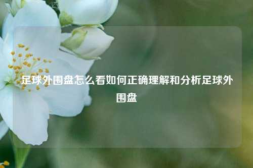 足球外围盘怎么看如何正确理解和分析足球外围盘