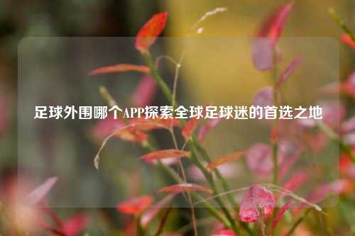 足球外围哪个APP探索全球足球迷的首选之地