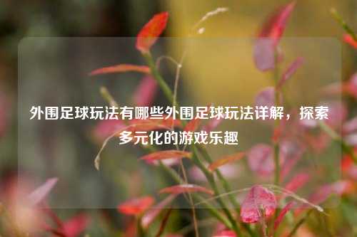外围足球玩法有哪些外围足球玩法详解，探索多元化的游戏乐趣