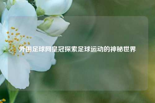 外围足球网皇冠探索足球运动的神秘世界