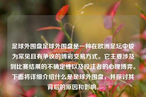 足球外围盘足球外围盘是一种在欧洲足坛中较为常见且有争议的博彩交易方式。它主要涉及到比赛结果的不确定性以及投注者的心理博弈。下面将详细介绍什么是足球外围盘，并探讨其背后的原因和影响。
