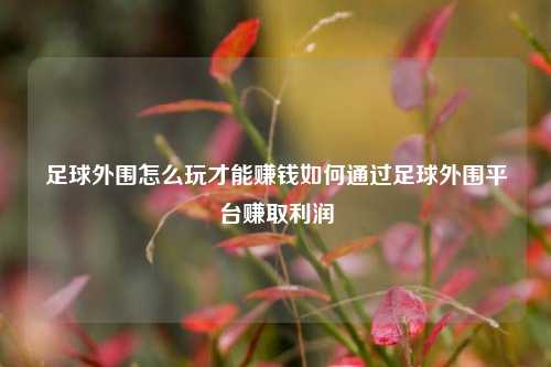 足球外围怎么玩才能赚钱如何通过足球外围平台赚取利润
