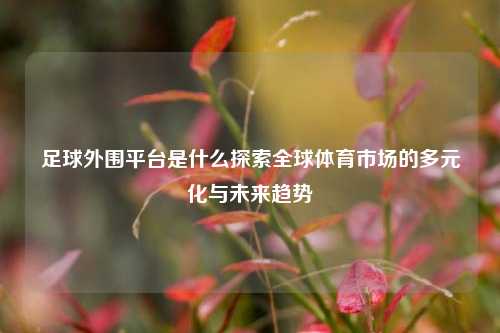 足球外围平台是什么探索全球体育市场的多元化与未来趋势