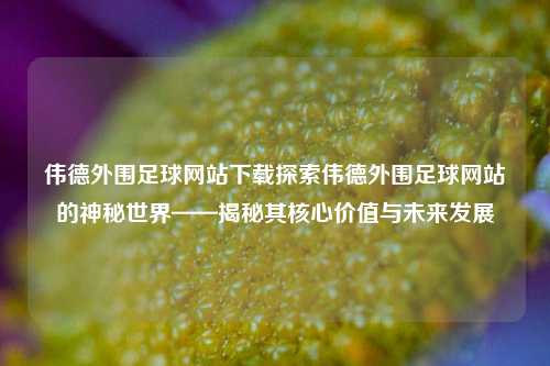 伟德外围足球网站下载探索伟德外围足球网站的神秘世界——揭秘其核心价值与未来发展