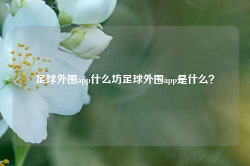 足球外围app什么坊足球外围app是什么？