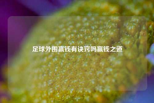 足球外围赢钱有诀窍吗赢钱之道