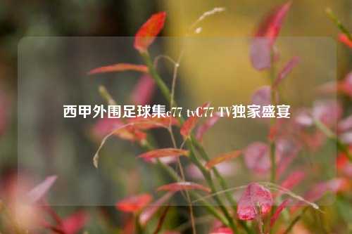 西甲外围足球集c77 tvC77 TV独家盛宴