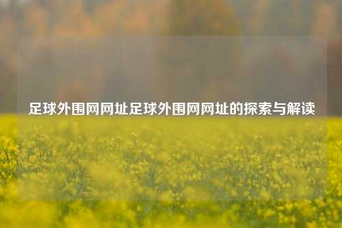 足球外围网网址足球外围网网址的探索与解读