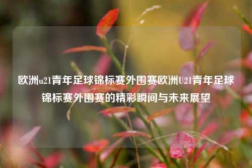 欧洲u21青年足球锦标赛外围赛欧洲U21青年足球锦标赛外围赛的精彩瞬间与未来展望