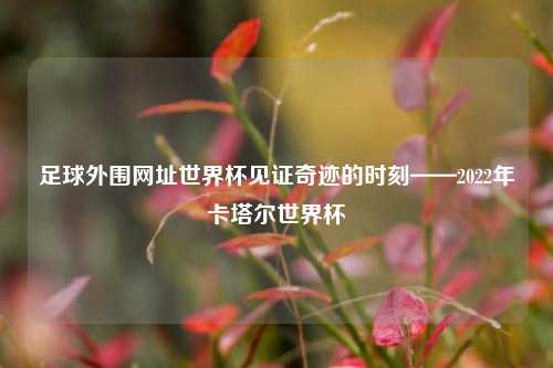 足球外围网址世界杯见证奇迹的时刻——2022年卡塔尔世界杯