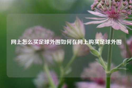 网上怎么买足球外围如何在网上购买足球外围