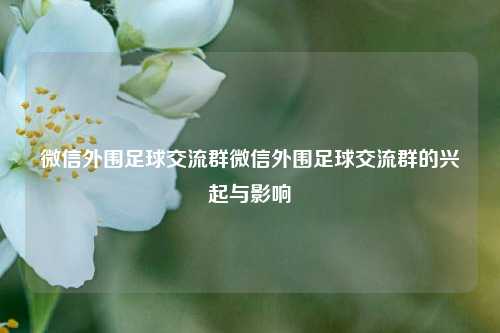 微信外围足球交流群微信外围足球交流群的兴起与影响