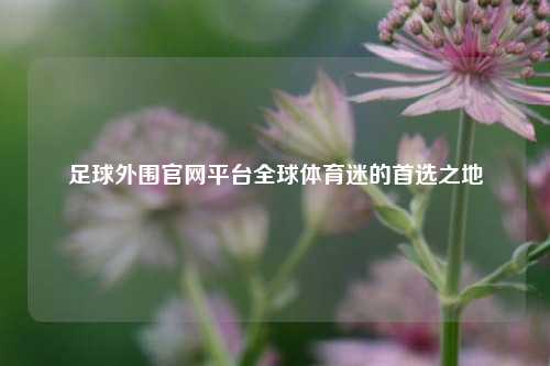 足球外围官网平台全球体育迷的首选之地