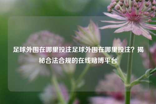 足球外围在哪里投注足球外围在哪里投注？揭秘合法合规的在线赌博平台