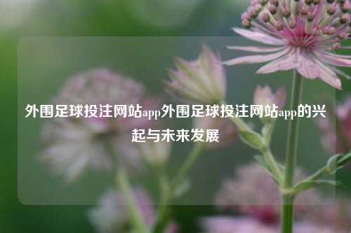 外围足球投注网站app外围足球投注网站app的兴起与未来发展